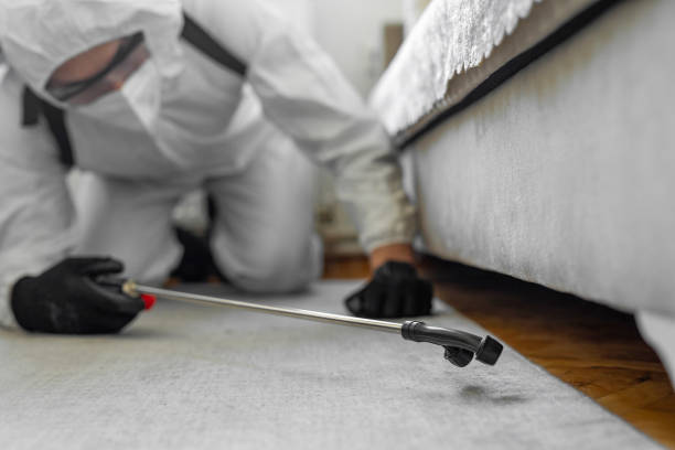 Professional Bed Bug Control technician working in West Burlington, IA
