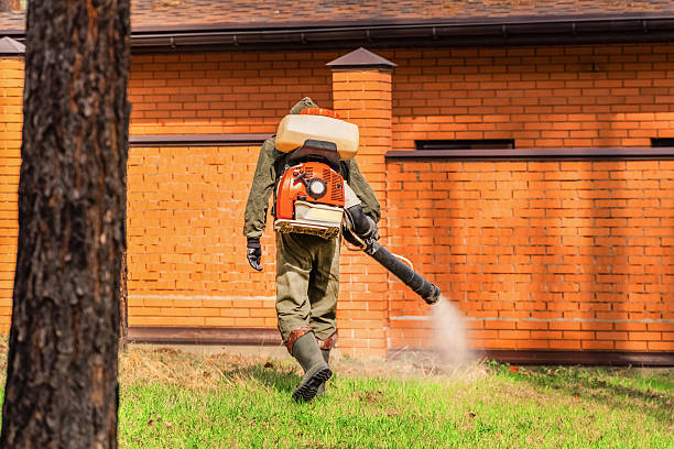 Trusted Emergency Pest Control service in West Burlington, IA - Nex Pest Control